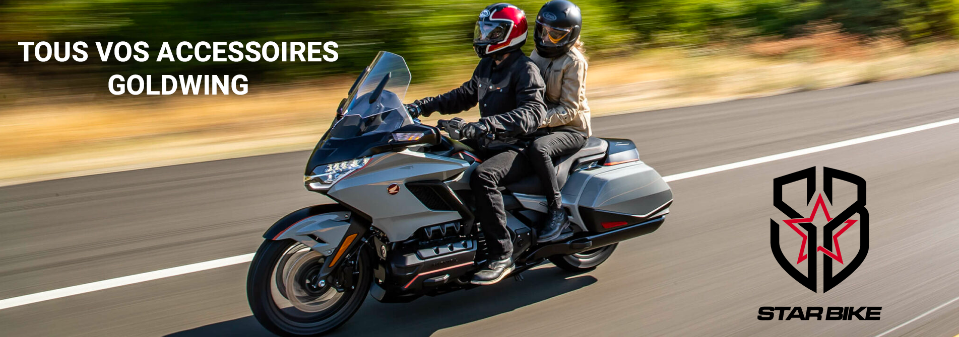 Goldwing 1 Goldwing 1